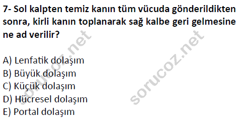 auzef cocukgelisimlisans 51 7