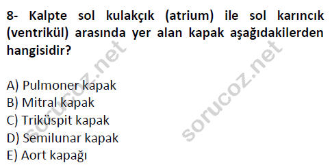 auzef cocukgelisimlisans 51 8