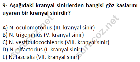 auzef cocukgelisimlisans 51 9