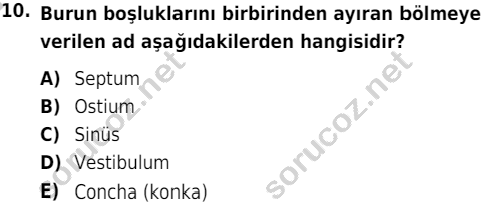 auzef cocukgelisimlisans 51 10