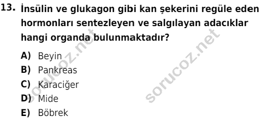 auzef cocukgelisimlisans 51 13