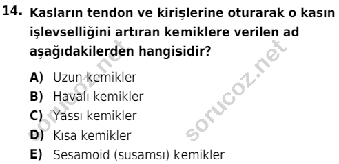 auzef cocukgelisimlisans 51 14