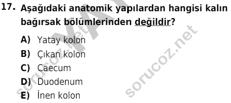 auzef cocukgelisimlisans 51 17