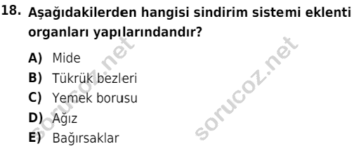 auzef cocukgelisimlisans 51 18