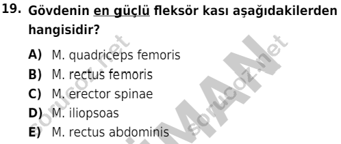 auzef cocukgelisimlisans 51 19