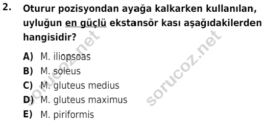 auzef cocukgelisimlisans 51 2