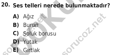 auzef cocukgelisimlisans 51 20