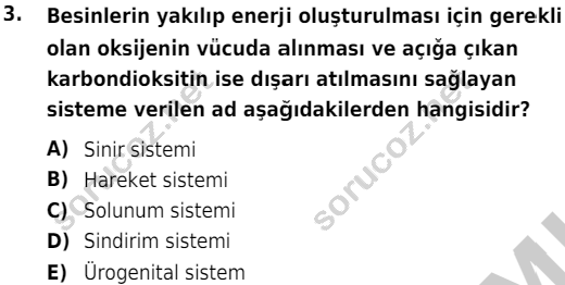 auzef cocukgelisimlisans 51 3