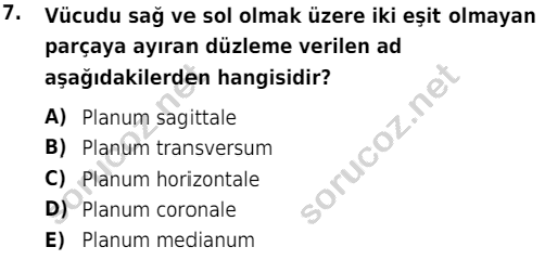 auzef cocukgelisimlisans 51 7
