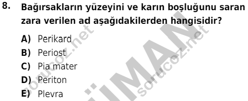 auzef cocukgelisimlisans 51 8
