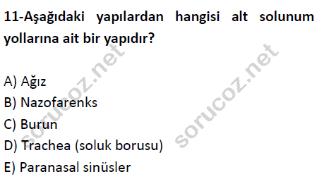 auzef cocukgelisimlisans 51 11