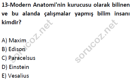 auzef cocukgelisimlisans 51 13