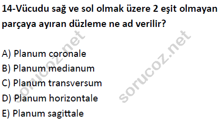 auzef cocukgelisimlisans 51 14