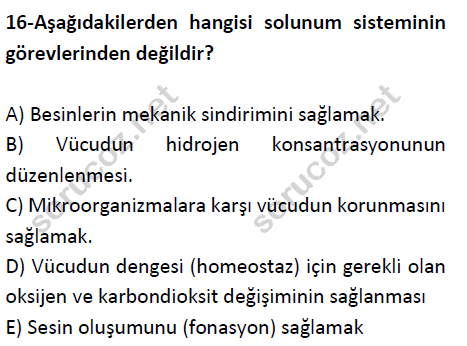 auzef cocukgelisimlisans 51 16