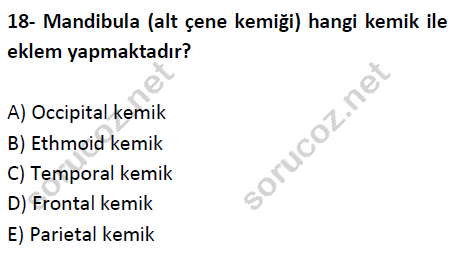 auzef cocukgelisimlisans 51 18