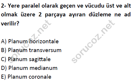 auzef cocukgelisimlisans 51 2