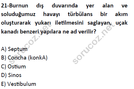 auzef cocukgelisimlisans 51 21