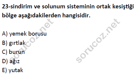 auzef cocukgelisimlisans 51 23