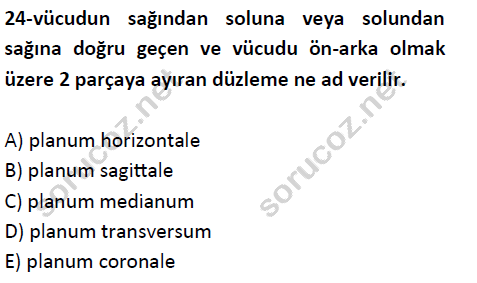 auzef cocukgelisimlisans 51 24
