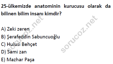 auzef cocukgelisimlisans 51 25
