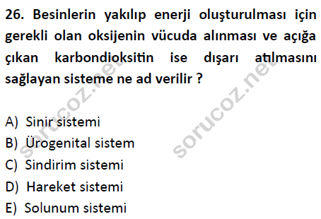 auzef cocukgelisimlisans 51 26