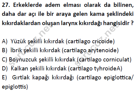 auzef cocukgelisimlisans 51 27