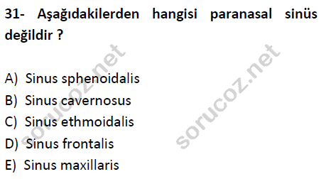 auzef cocukgelisimlisans 51 31