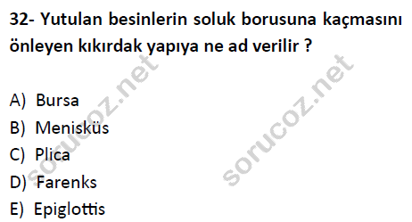 auzef cocukgelisimlisans 51 32