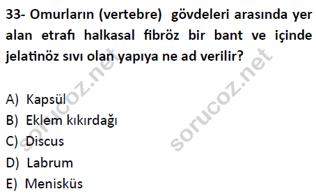 auzef cocukgelisimlisans 51 33
