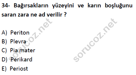 auzef cocukgelisimlisans 51 34