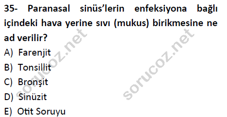 auzef cocukgelisimlisans 51 35