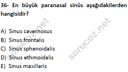 auzef cocukgelisimlisans 51 36