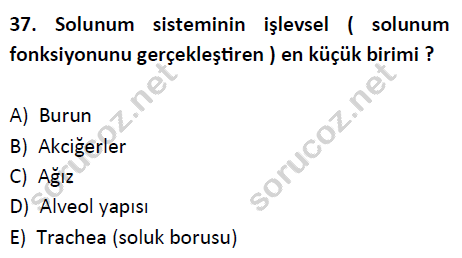 auzef cocukgelisimlisans 51 37