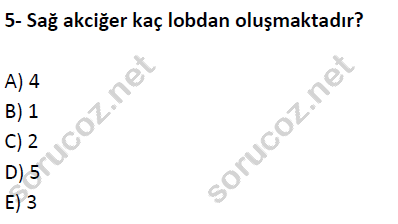 auzef cocukgelisimlisans 51 5