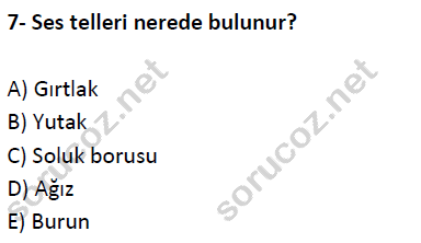 auzef cocukgelisimlisans 51 7