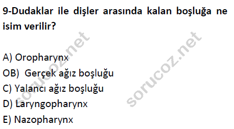 auzef cocukgelisimlisans 51 9