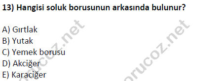 auzef cocukgelisimlisans 51 13
