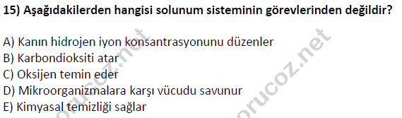 auzef cocukgelisimlisans 51 15