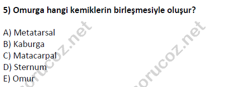 auzef cocukgelisimlisans 51 5