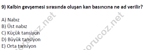 auzef cocukgelisimlisans 51 9