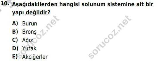 auzef cocukgelisimlisans 51 10