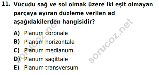 auzef cocukgelisimlisans 51 11