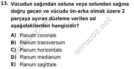 auzef cocukgelisimlisans 51 13