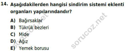 auzef cocukgelisimlisans 51 14