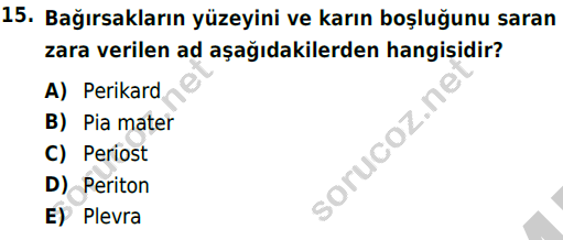 auzef cocukgelisimlisans 51 15