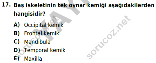 auzef cocukgelisimlisans 51 17