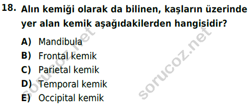 auzef cocukgelisimlisans 51 18