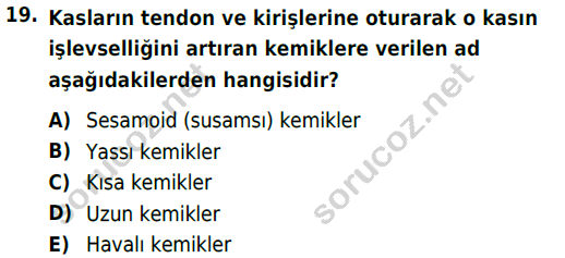 auzef cocukgelisimlisans 51 19