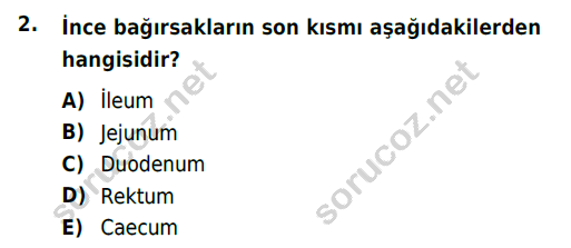 auzef cocukgelisimlisans 51 2