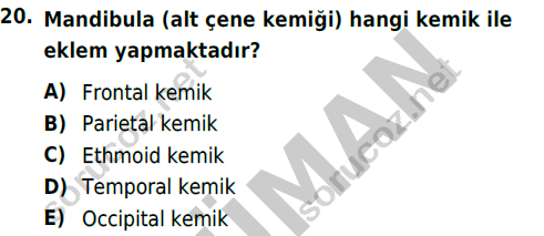 auzef cocukgelisimlisans 51 20